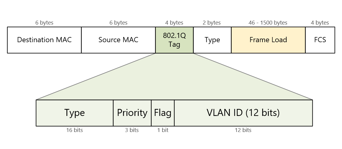 VLAN Trunking | NetworkAcademy.io